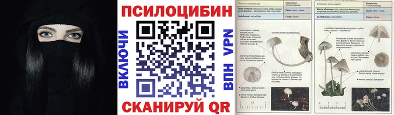 Псилоцибиновые грибы MAGIC MUSHROOMS  Лукоянов 